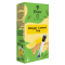 ELIXIR ΡΑΒΔΟΙ ΤΣΑΓΙΟΥ 10X20gr GINGER LEMON