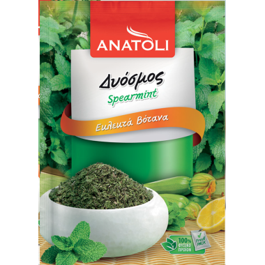 ΑΝΑΤΟΛΗ ΔΥΟΣΜΟΣ ΑΠΟΞΗΡΑΜΕΝΟΣ 10GR