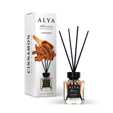 ALYA NATURE'S SCENTS ΑΡΩΜΑΤΙΚΟ ΧΩΡΟΥ ΜΕ ΣΤΙΚ 100ML CINNAMON