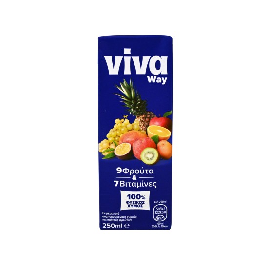VIVA WAY ΧΥΜΟΣ 250ml 9 ΦΡΟΥΤΩΝ