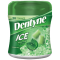 DENTYNE ΜΑΣΤΙΧΑ 81,2gr ICE SPEARMINT