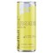 RED BULL SUMMER EDITION 250ML