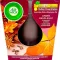 AIR WICK CANDLE AMBRE ENSOLEILLE 105GR