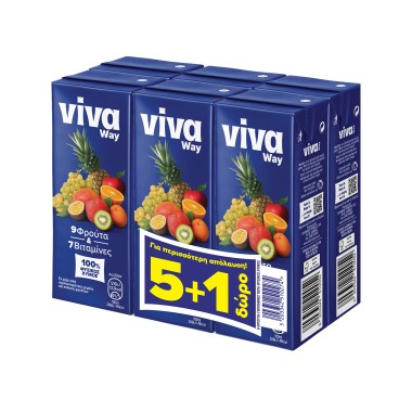 VIVA WAY ΦΥΣΙΚΟΣ ΧΥΜΟΣ 9 ΦΡΟΥΤΩΝ 250ml (5+1 ΔΩΡΟ)
