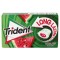 TRIDENT LONG LASTING WATERMELON 22gr