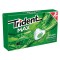 TRIDENT FROST ΚΑΡΠΟΥΖΙ (ΕΞ)