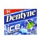 DENTYNE ΜΑΣΤΙΧΑ 16,8GR ICE PEPPERMINT