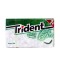 TRIDENT WHITE SPEARMINT 23,8gr