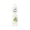 DOVE BODY SPRAY 150ml ADVANCE CARE MATCHA GREEN TEA