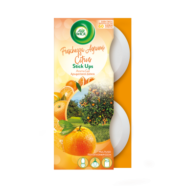 AIR WICK ΣΥΣΚΕΥΗ ΑΡΩΜΑΤΙΚΟ ΧΩΡΟΥ STICK UPS CITRUS 2ΤΕΜ Χ 30GR