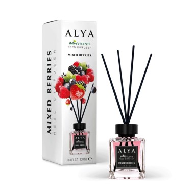 ALYA NATURE'S SCENTS ΑΡΩΜΑΤΙΚΟ ΧΩΡΟΥ ΜΕ ΣΤΙΚ 100ML MIXED BERRIES