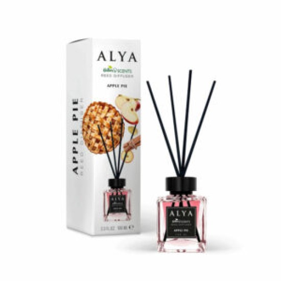 ALYA NATURE'S SCENTS ΑΡΩΜΑΤΙΚΟ ΧΩΡΟΥ ΜΕ ΣΤΙΚ 100ML APPLE PIE