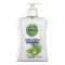 DETTOL ΚΡΕΜΟΣΑΠΟΥΝΟ SOFT ON SKIN 250ml