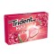 TRIDENT MAX FROST WATERMELON 20gr